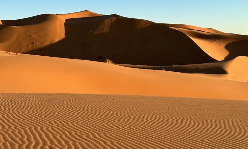 Tour de 12 días desde Marrakech a Merzouga